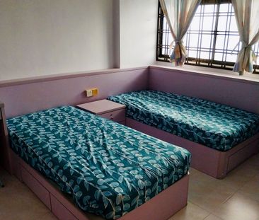 Blk 503B Canberra Link (Sembawang), HDB 4 Rooms - For Rent - Photo 3