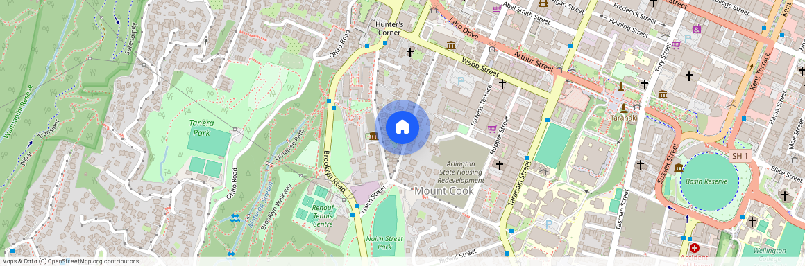 58 Thompson Street, Mount Cook, Wellington City