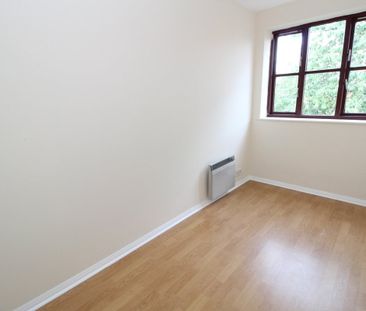 Spring Grove - Photo 6