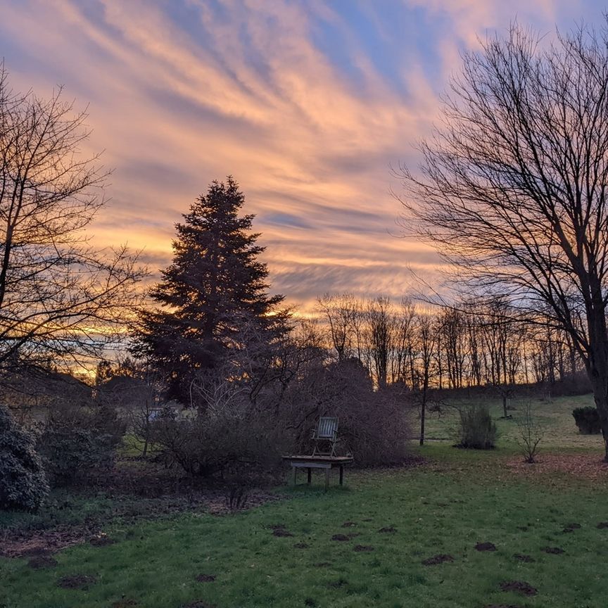 Op zoek zijn naar nieuwe huisgenoten voor hoeve in Lubbeek - Photo 1