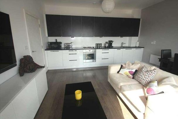 Skyline Plaza, Basingstoke Town Centre, RG21 - Photo 1