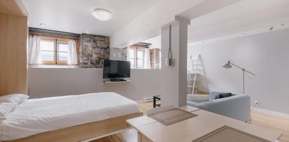 Loft entièrement meublé à louer Vieux-Québec août 2026 - Photo 2