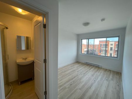 4035 Rue Hochelaga Montréal (Mercier, QC H1W - Photo 2
