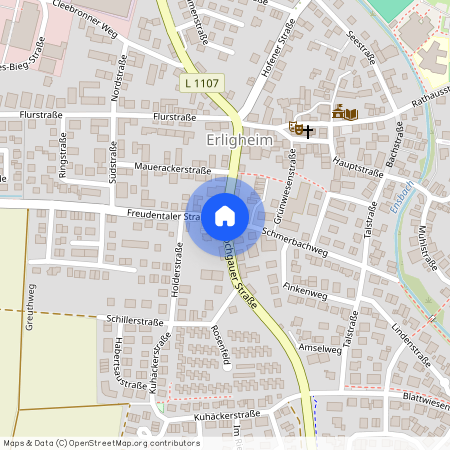 74391 Baden-Württemberg - Erligheim