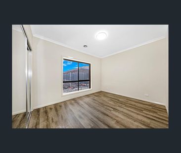 Spacious Family Living in the Heart of Kalkallo - Photo 5