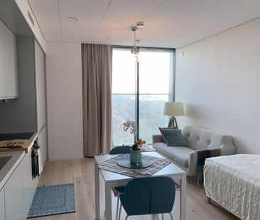 Lodjursstråket, Göteborg - Foto 1