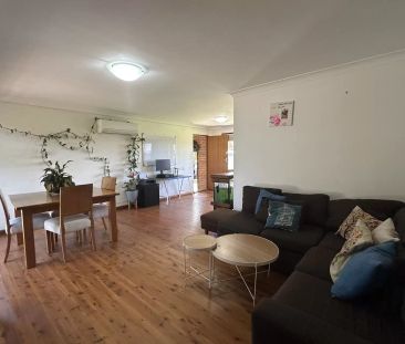 Plenty of Space - Photo 3