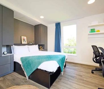 Premium Plus - Photo 5