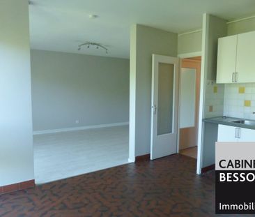 Location Appartement 1 pièce 43m² GRENOBLE 38000 - Photo 2