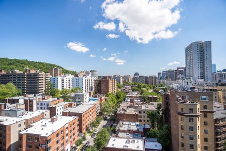 Appartement à louer, Montréal (Ville-Marie) - Photo 5