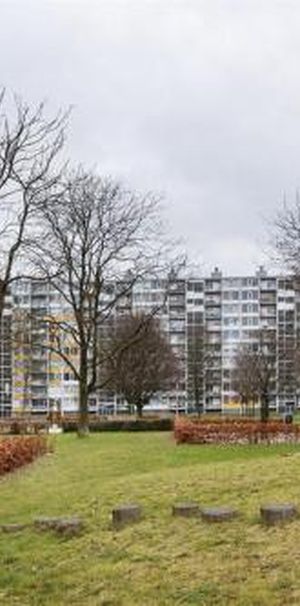 Pahud de Mortangesdreef 3562 AA Utrecht - Foto 1