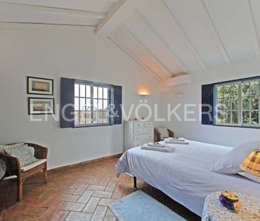 Lagoa, Lisbon - Photo 6