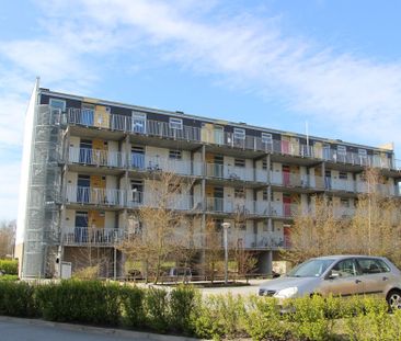 Stiftsvägen 12 - Photo 5