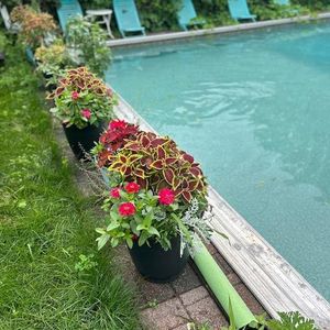 Appart De Luxe 2 Chambres - Photo 2