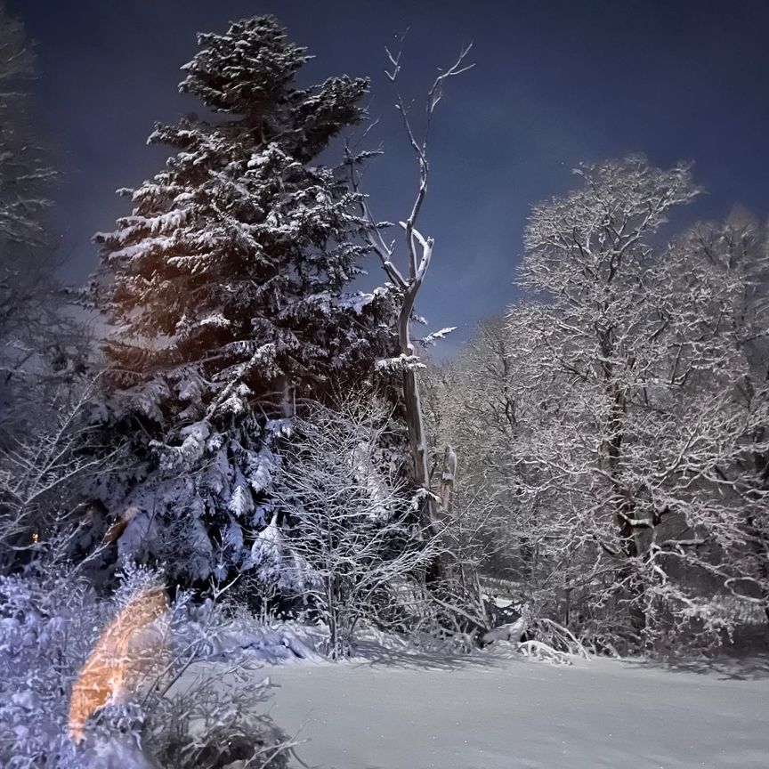 Knypplan, Örbyhus - Photo 1