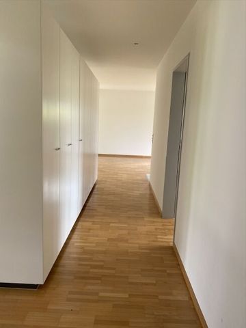 Living between the lake and the city - Photo 4