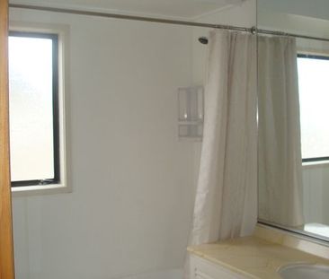 Charming 3BR Highland Park Haven - Photo 4