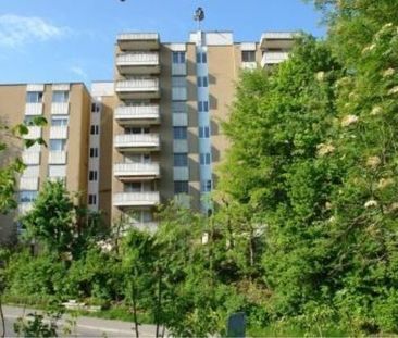 Renovated apartments for singles - Photo 1