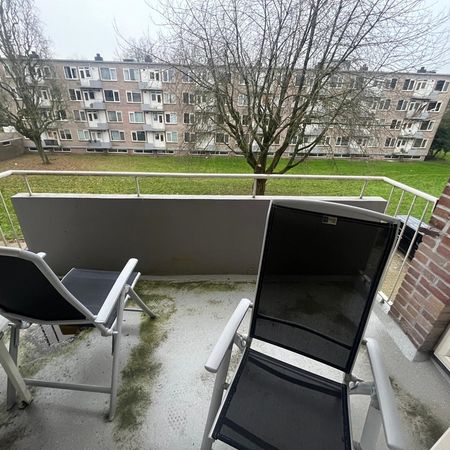 Europalaan 491 - Foto 4
