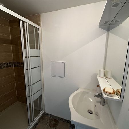 Location Appartement 1 pièce 22m² - Photo 4