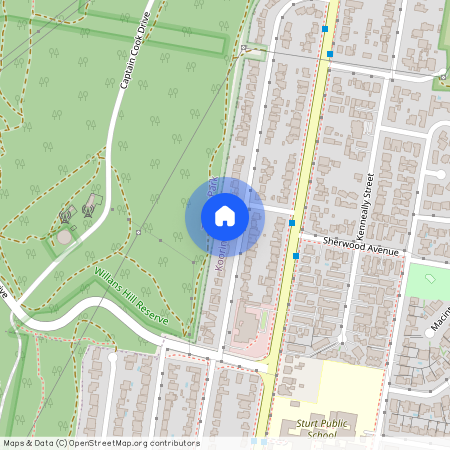 62B Warrawong Street, NSW 2650, Kooringal