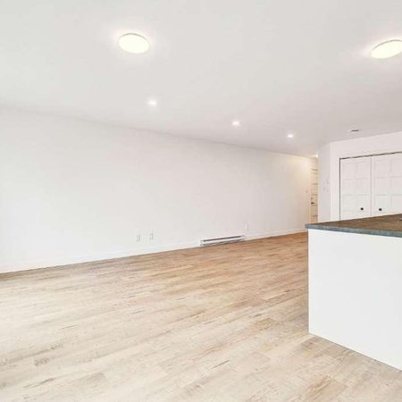 PROMO 1 mois gratuit! Beau 5 1/2 neuf ! Juillet/Aout 2025, Huntingdon - Photo 3