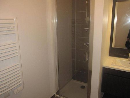 Location appartement récent 2 pièces 42.5 m² à Montpellier (34000) - Photo 3