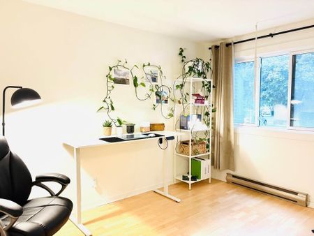 2100 Boul. du Tricentenaire, Montréal (Rivière-des-Prairies, QC H1B - Photo 2