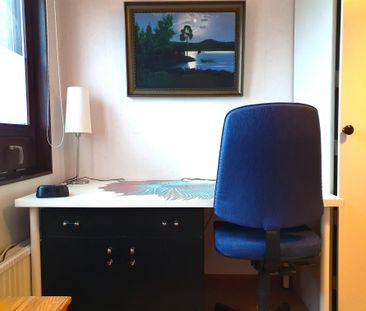 Bröderna Berwalds väg, Uppsala - Photo 4