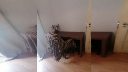 Room in a shared 3-bedroom flatfor rent in Lisbon, bills included - Photo 3