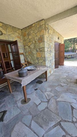 Διαμέρισμα για ενοικίαση Ιταμός (Παρνασσός) - Photo 4