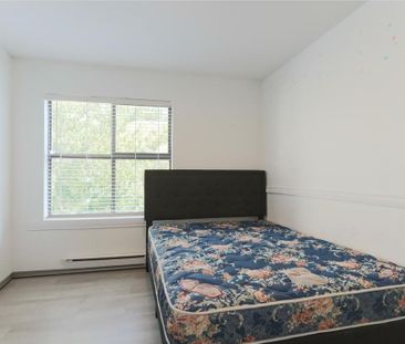 403-20268 54 Ave. Langley - Photo 3