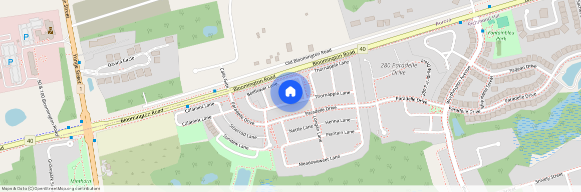10 Buttonbush Lane, Richmond Hill