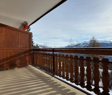 LOC 25 – MARIGNY ANDOLLA 14 - Photo 6