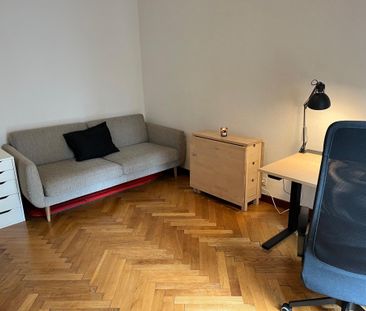 Magnifique appartement Studio aux Eaux-Vives - Foto 4