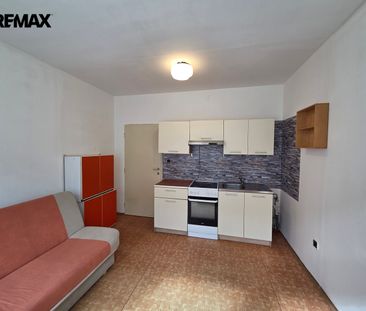 Pronájem bytu 1+1 v osobním vlastnictví 40 m², Opočno - Fotografie 3