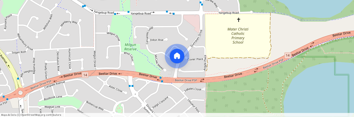 50 Cervantes Loop, WA 6164, Yangebup