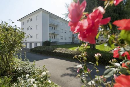 3.5 Zimmer, 71 m², 1. Stock - Photo 4