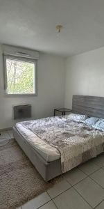 Location Appartement 2 pièces 50m² ANNEMASSE 74100 - Photo 3