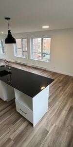 Grand 5 1/2, ANIMAUX ACCEPTÉS, Libre le 1er juillet - Photo 3