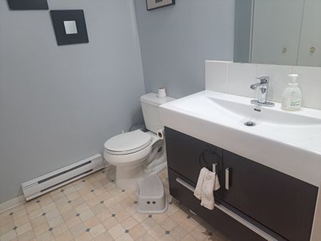 Rue Émile-Gauthier, H8R 4B9, Montréal - Photo 5