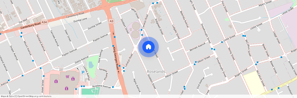 21 Nicoll Street, Roselands, NSW 2196