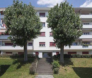 Bel appartement de 2 pièces à Lausanne avec vue sur lac - Foto 1