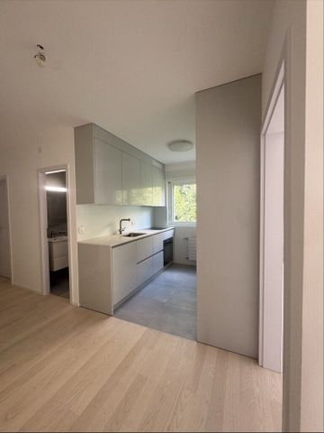 Beautiful 3.5 pcs completely renovated with clear view of the lake - Photo 3