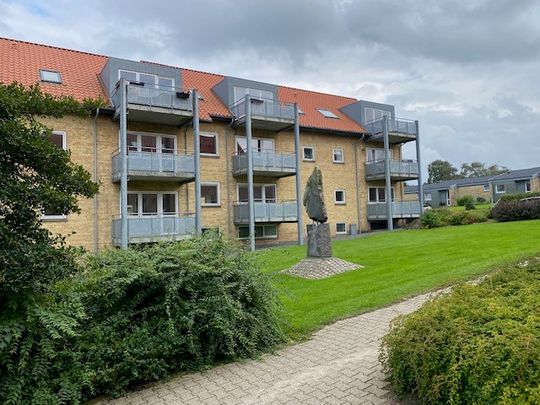 7800, Skive - Foto 1