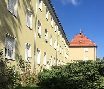 Frisch renovierte 2-Zimmer-Wohnung in Meißen-Triebischtal - Foto 6