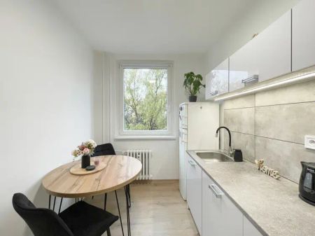 Pronájem, byt 2+1 po rekonstrukci, Olomouc - Fotografie 2