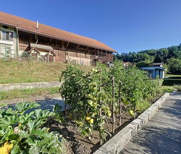 2 PIÈCES - Avec cachet ! - Photo 4