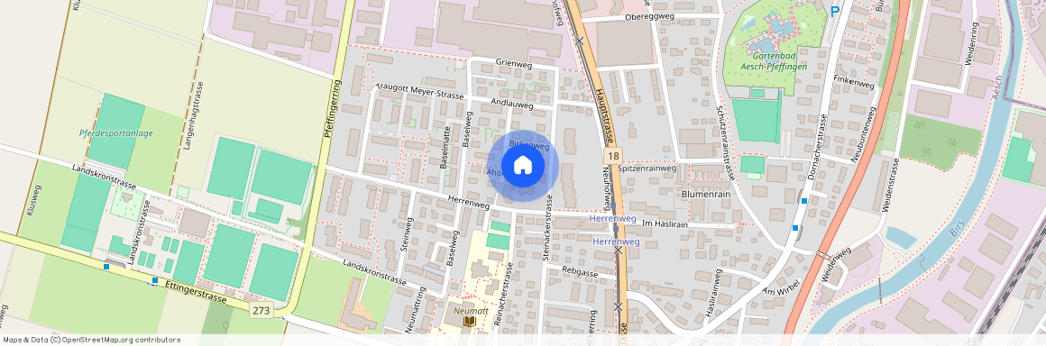 Ahornweg 7, 4147, Aesch Bl