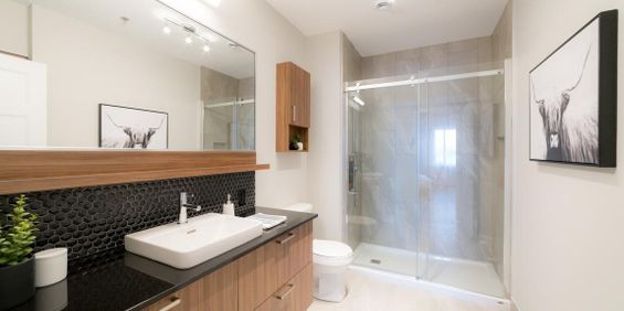 1 Bedroom - 200 Avenue Dijon, Candiac - Photo 3